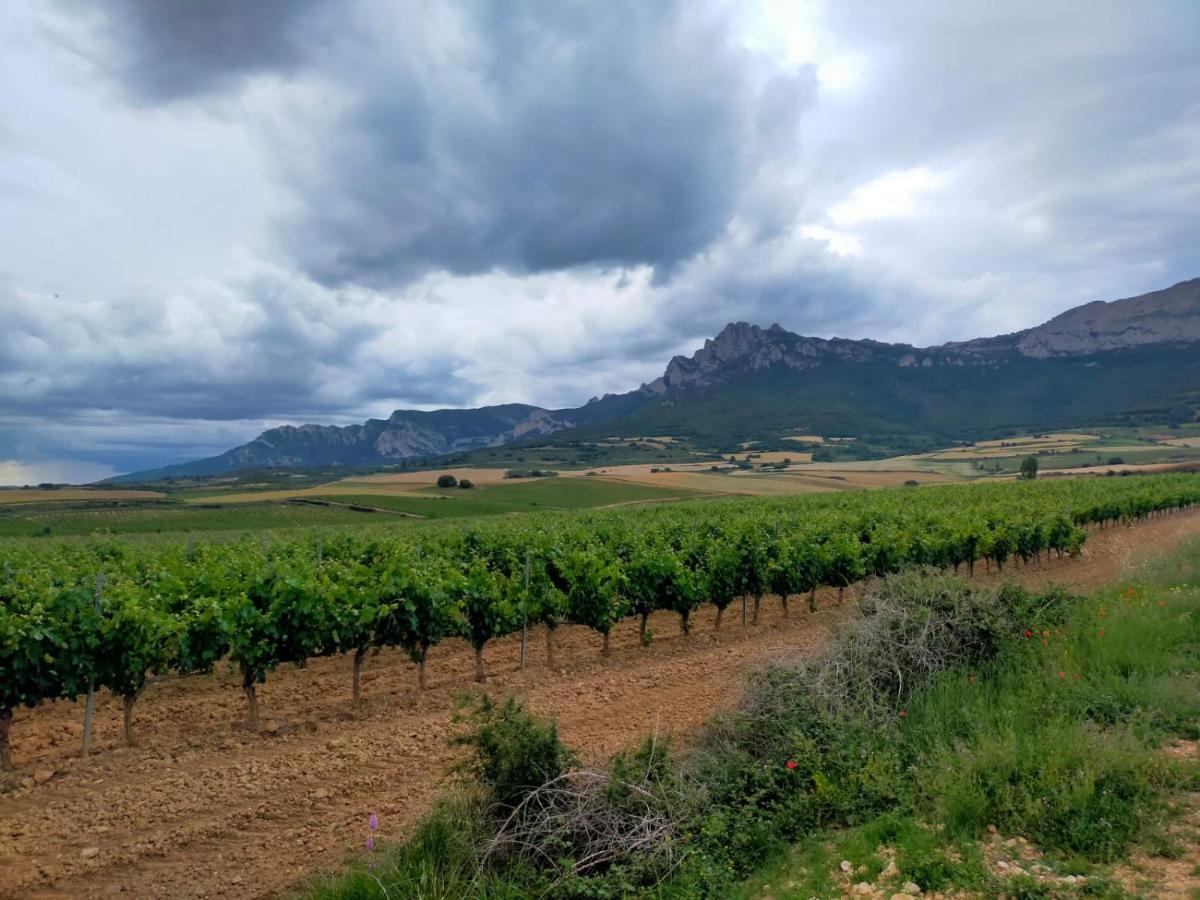 La Puerta Al Centro De Logrono Vino Crianza Y Desayuno Incluidos Appartamento Esterno foto
