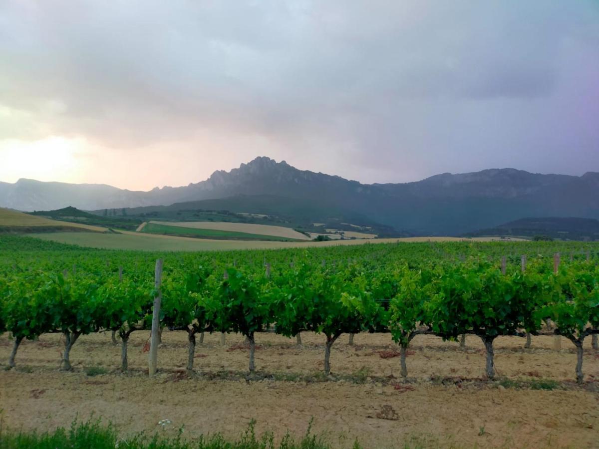 La Puerta Al Centro De Logrono Vino Crianza Y Desayuno Incluidos Appartamento Esterno foto